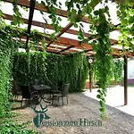 Hotel-pension Zum Hirsch Guest house Hattersheim am Main