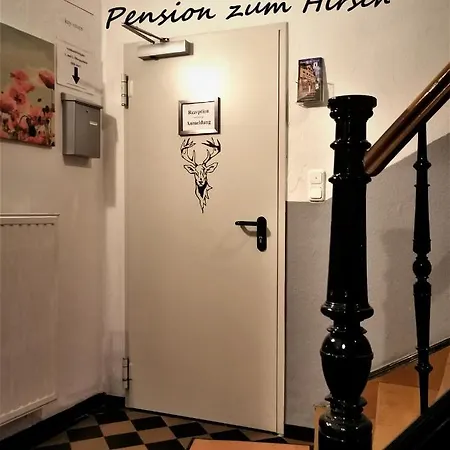 Pensjonat Hotel-pension Zum Hirsch