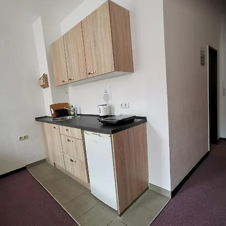 Guest house Hotel-pension Zum Hirsch