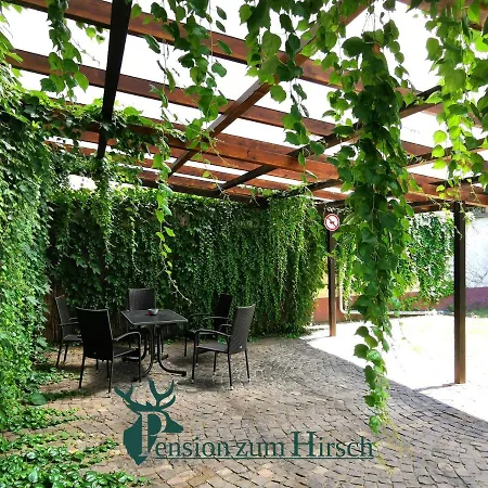 Hotel-pension Zum Hirsch Guest house Hattersheim am Main
