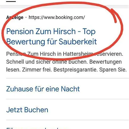 Hotel-pension Zum Hirsch Hattersheim am Main