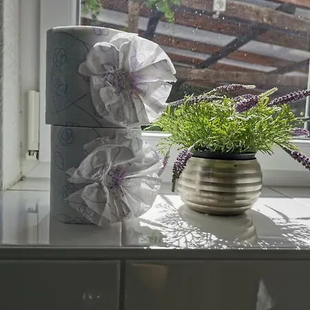 Hotel-pension Zum Hirsch 3*