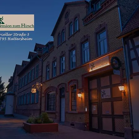 Hotel-pension Zum Hirsch Guest house