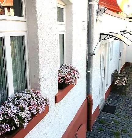 Hotel-pension Zum Hirsch Guest house 3*