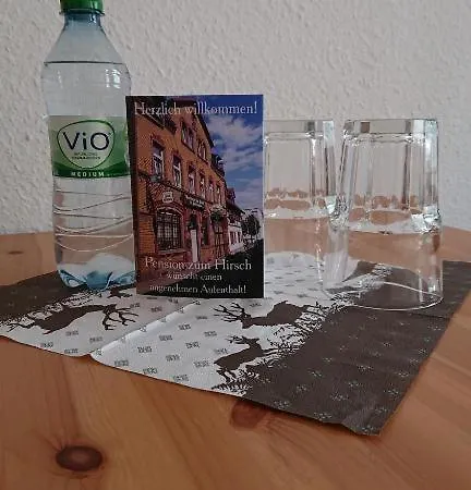 Hotel-pension Zum Hirsch 3*
