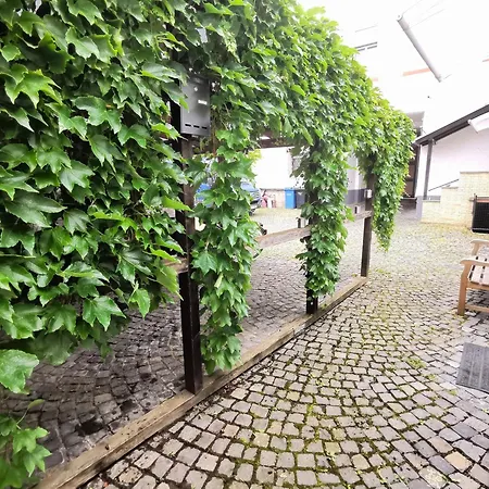 Hotel-pension Zum Hirsch Pensjonat 3*