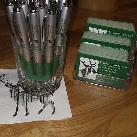 Hotel-pension Zum Hirsch Pensjonat Hattersheim am Main