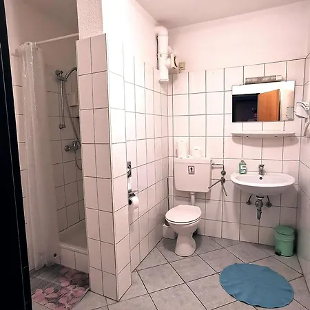 Hotel-pension Zum Hirsch 3* Hattersheim am Main