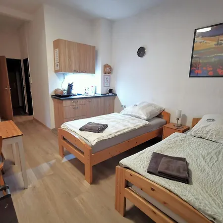 Pensjonat Hotel-pension Zum Hirsch 3*