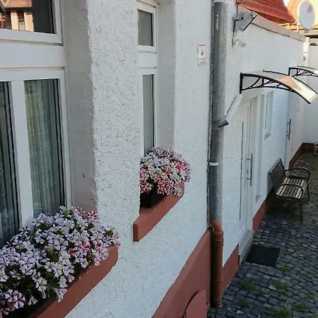 Hotel-pension Zum Hirsch Guest house Hattersheim am Main