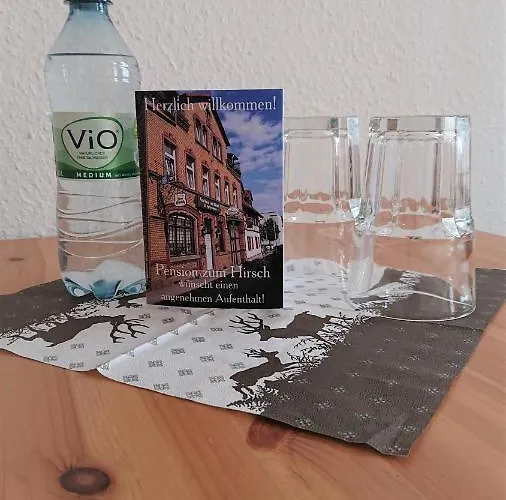 Hotel-pension Zum Hirsch Hattersheim am Main