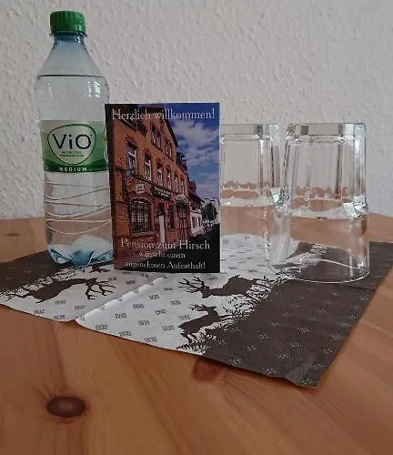 Hotel-pension Zum Hirsch 3*