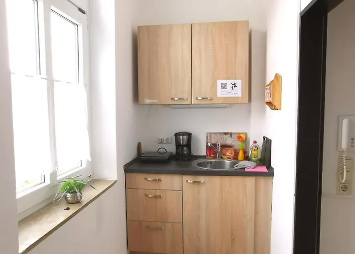 Hotel-pension Zum Hirsch 3*