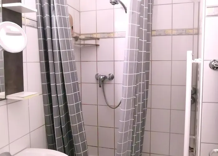 Hotel-pension Zum Hirsch 3* Hattersheim am Main