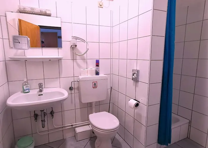 Hotel-pension Zum Hirsch 3*